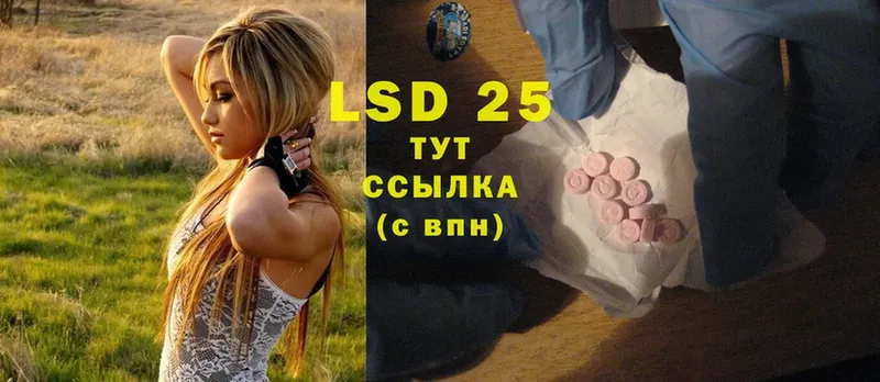 LSD-25 экстази кислота  мориарти состав  Богородицк 